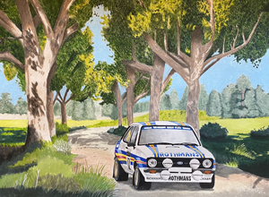 Rally Car Prints  Classic Rally Car Acrylic Paintings